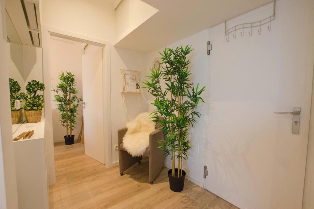 Casarina - Gemuetliches Apartment Im Zentrum Augsburg Exterior photo